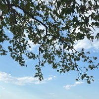 Math (@math78622818434) 's Twitter Profile