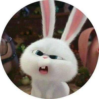 vit_kkk's profile picture. dm me to buy content!! (PayPal only.) down for whatever just hmu babes💕