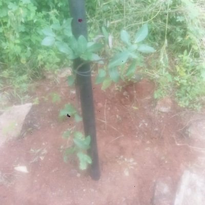 thecooltechie's profile picture. 