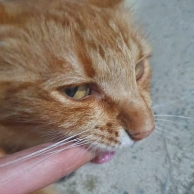 the_water_bottl's profile picture. 🍂🧀🍂