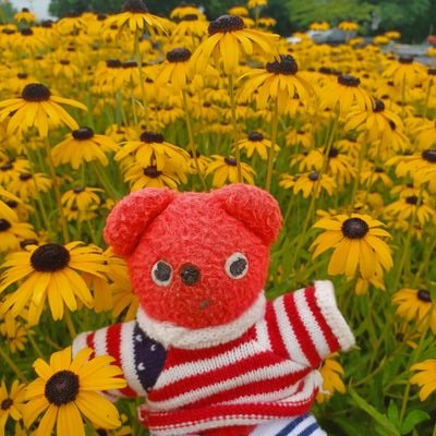 Hi. I'm Red Bear, a little 8-inch tall teddy bear who was born in 1948. I'm looking to meet new friends here on X.