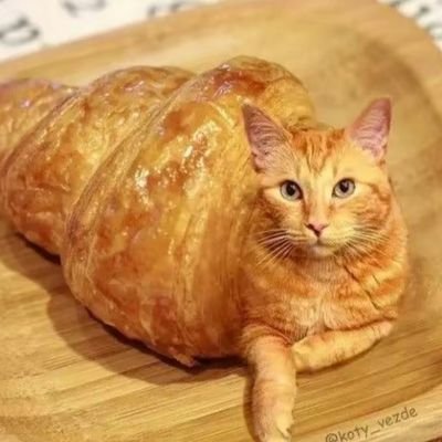 empanadas1221's profile picture. 