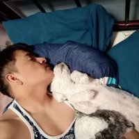 perritos (@perritos540729) 's Twitter Profile Photo perritos (@perritos540729) 's Twitter Profile Photo