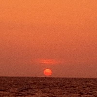 LolaYujin14714's profile picture. love cats they/them (44)