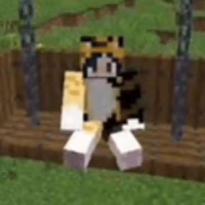 🏳️🌈 Variety streamer 🇦🇺 Bisexual & nonbinary 🏳️⚧️