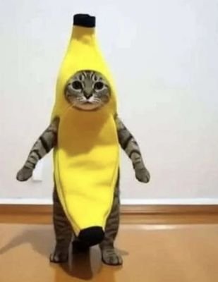 steamos07's profile picture. 