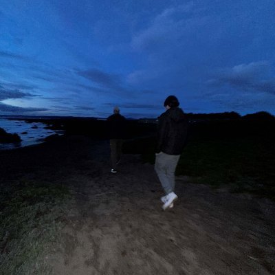 ToothyJarl's profile picture. aspiring software dev