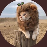 nftcrypto3.eth π (@nftcrypto365578) 's Twitter Profile