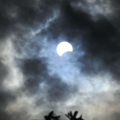 5209385_0's profile picture. i gave you power, i made you buck wild