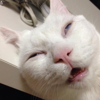 _________97977's profile picture. ✩ ✩ ✩ ✩ ✩ ✩ ✩