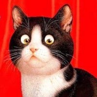 Никотинка с Бровями (@yoghikitt) 's Twitter Profile Photo