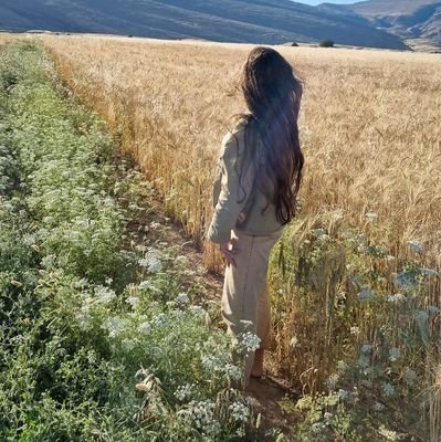 JanaTaban88944's profile picture. 🐥