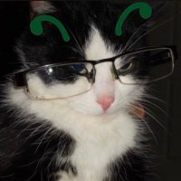 Ϋ (@baitbridge) 's Twitter Profile Photo Ϋ (@baitbridge) 's Twitter Profile Photo
