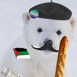 Polar 🇵🇸 Profile