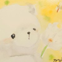 なのはなぱんだ (@odekakepanda7) 's Twitter Profile Photo なのはなぱんだ (@odekakepanda7) 's Twitter Profile Photo