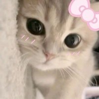 an ‧₊˚✩ 🪐✩˚₊‧ (@eeiufike) 's Twitter Profile