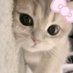 an ‧₊˚✩ 🪐✩˚₊‧ (@eeiufike) Twitter profile photo an ‧₊˚✩ 🪐✩˚₊‧ (@eeiufike) Twitter profile photo