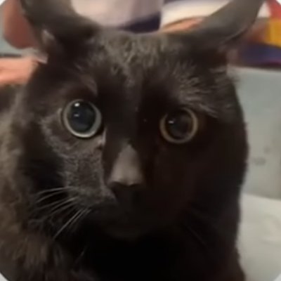 nerysneo's profile picture. 20