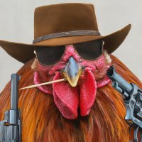 TEXASMAN (@texasman18361) 's Twitter Profile