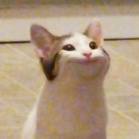 CptnDrck (@cptndrck) 's Twitter Profile