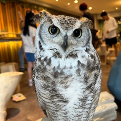 Hui_2088's profile picture. Sales Director, SUSE