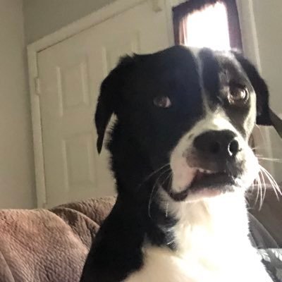 Sully56s's profile picture. Just tryin to live the Dream!!!