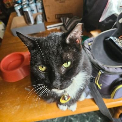 Cooljack900's profile picture. 