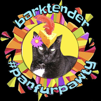 Sanjee the Angel (@sanjeethecat) 's Twitter Profile