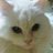 springmountain_'s profile image