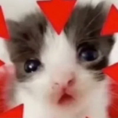 just a cat person who plays roblox and shit lol, He/Him, an absolute ninjago fan, i am awesome :D