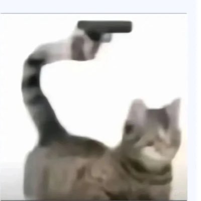 chair19561's profile picture. 除了中文都是用翻译器