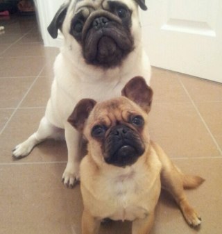 Chadski1974's profile picture. (views are purely my own and do not reflect those of anybody else or any organisation)