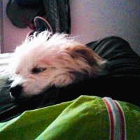 Ismael G. Espinoza 🫐 (@ismaelgespinoza) 's Twitter Profile Photo Ismael G. Espinoza 🫐 (@ismaelgespinoza) 's Twitter Profile Photo