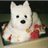 Jan_Cake_Lady's profile image