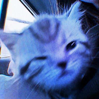 🦋Twitch Streamer Sometimes || J CLOWD All Music Streaming Platforms || JC In RP || 🦋@glytchenergy & @KillerJerkyCo partner code “KOOK” | ✌︎︎ @notjaykook ||🦋