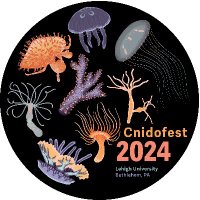 Cnidofest (@cnidofest) 's Twitter Profile