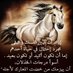 حافظ السفياني (@alsfyany_hafz) Twitter profile photo حافظ السفياني (@alsfyany_hafz) Twitter profile photo