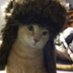 cus (@cusrise_) Twitter profile photo cus (@cusrise_) Twitter profile photo
