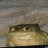 preducrf's profile image