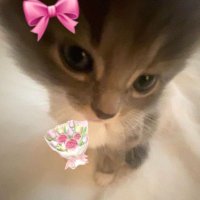 #4 (@drafarxr) 's Twitter Profile