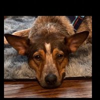 Stanroscoe (@sinusrythum) 's Twitter Profile Photo Stanroscoe (@sinusrythum) 's Twitter Profile Photo