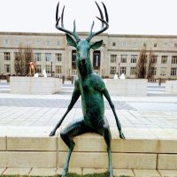 The Columbus Deer (@thecolumbusdeer) 's Twitter Profile Photo