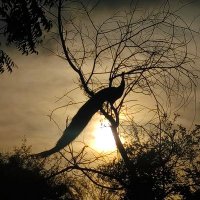 Movie_Muchatlu (@jayanth_757) 's Twitter Profile