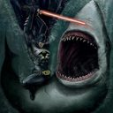 Jonah Finley - @jdawgfinley - Twitter