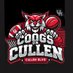3rd Ward Coogs (@dacoogsoncullen) Twitter profile photo 3rd Ward Coogs (@dacoogsoncullen) Twitter profile photo
