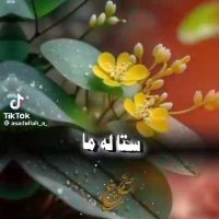 مجاهد پال ولس (@pal_wls53351) 's Twitter Profile
