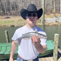Jake Rendina (@jakerendina) 's Twitter Profile