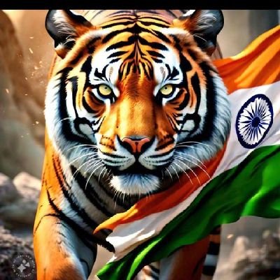 GourAvinash's profile picture. 