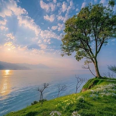 abhayprakash466's profile picture. 