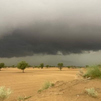 mumtajlubana007's profile picture. nothing special